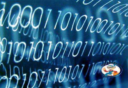 Bilgisayar Programcısı