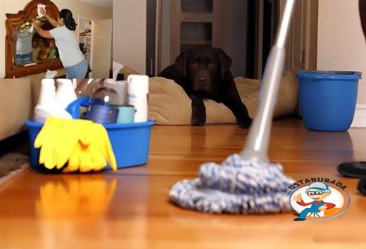 Ev Temizliği