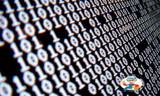Bilgisayar Programcısı