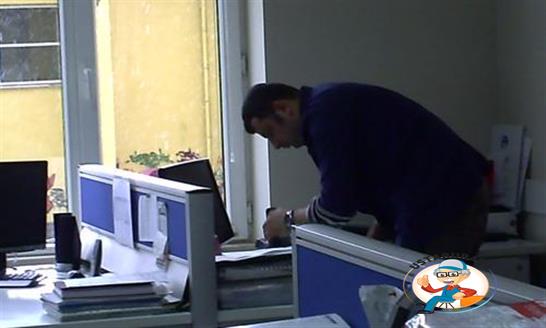 Özgül Temizlik