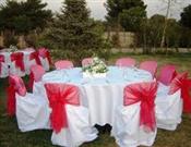 Pendik Özlem organizasyon nikah sünnet davet düğün organizasyonları yapılır
