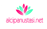 Alçıpancı Ustası