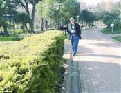 Otopark Liman Ağacı Çalışması