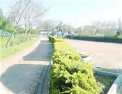 Otopark Çalışmaları