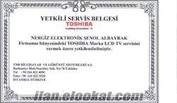 Elektronik 
