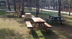 Piknik Masası