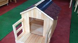 Köpek Klubesi