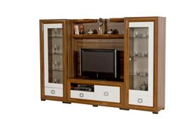 Tv Ünitesi